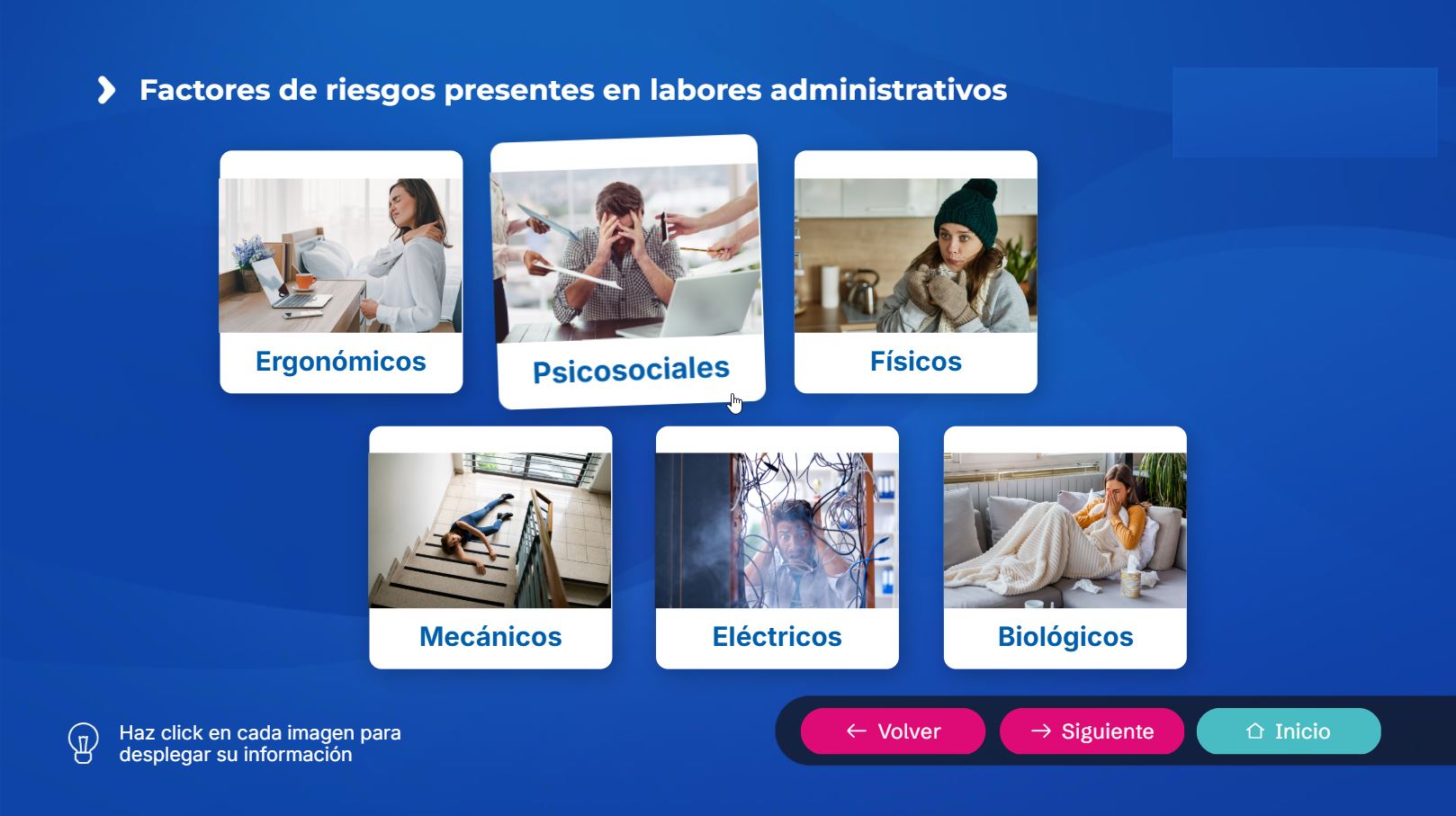 Proyecto 6