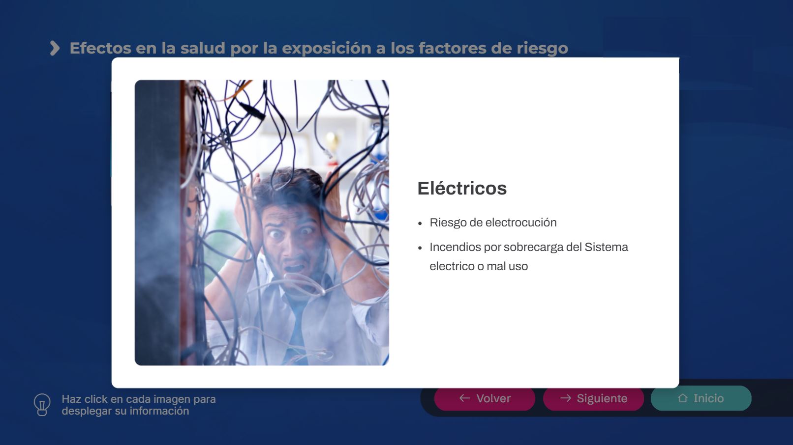 Proyecto 7